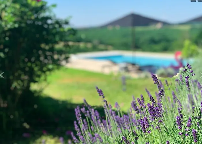 בית נופש Charming With Pool In Perigord *